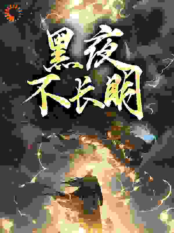 黑夜不长明